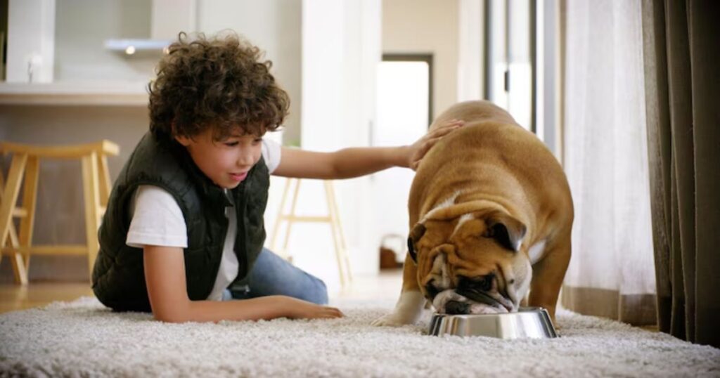 How often should I feed my puppy and at what frequency