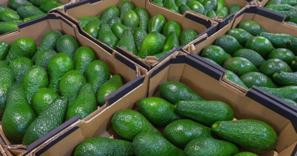 How to store avocados