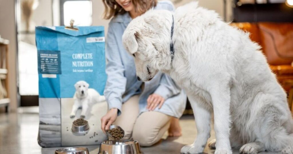 Undeatanding A Puppy Starter Food Nutritional Requirements