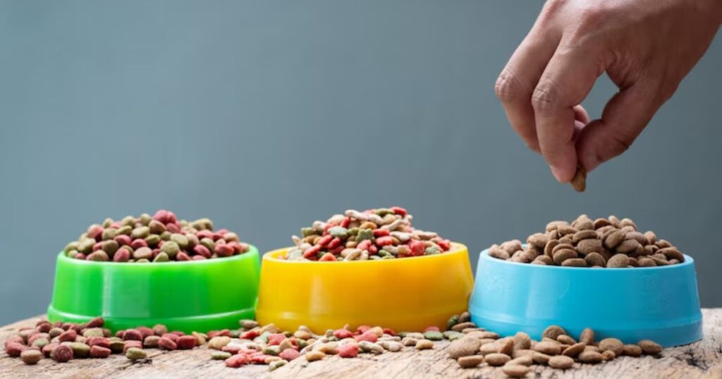 WHAT TO FEED, WHEN TO FEED, HOW MUCH TO FEED